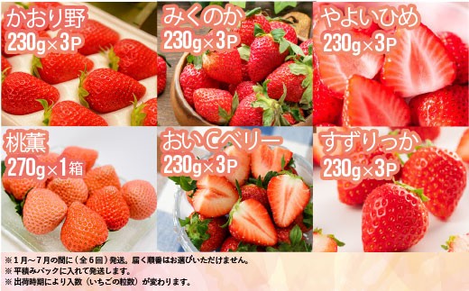 全6回、色々な品種のいちごを楽しめる幸せ定期便♬