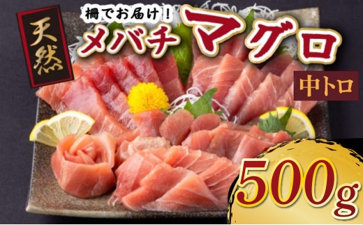 天然メバチマグロ 【 中トロ 】500ｇ（柵） メバチマグロ めばちまぐろ めばち メバチ まぐろ マグロ 鮪 サク 柵 中トロ 天然 天然まぐろ 天然マグロ 刺身 お刺身 食べ比べ 海鮮丼 丼 魚 さかな 新鮮 高知 室戸 冷凍 小分け 海鮮