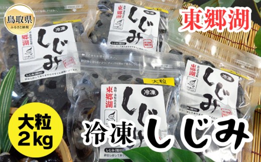 B24-043 東郷湖冷凍しじみ（大粒） 2kg 鳥取県 おすすめ 湯梨浜町 黒いダイヤ