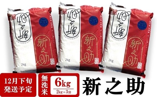 [12月下旬発送]令和7年産新米 新之助 無洗米 6kg(2kg×3袋)田村農産 しんのすけ[Y0097]