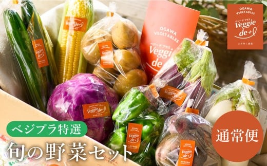 旬の新鮮なお野菜を産地直送!ベジプラ特選 旬の野菜セット[1回お届け ] / 野菜 詰め合わせ セット 野菜セット 新鮮 ギフト やさい 苦みが少ない 甘みが強い Veggie de+
