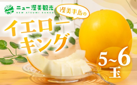【先行予約】イエローキングメロン 5 ～ 6玉 入り（ 計 4kg 以上 ）メロン イエロー キング メロン フルーツ 果物 愛知県 田原市 渥美半島 お取り寄せ スイーツ ギフト 贈り物 プレゼント 贈答 贈答用 ニュー渥美 観光
