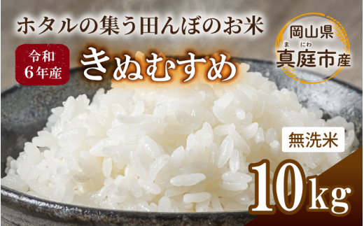 令和6年産 きぬむすめ 無洗米 10kg 岡山県真庭市産 / 国産 お米 ブランド米 1121957 - 岡山県真庭市