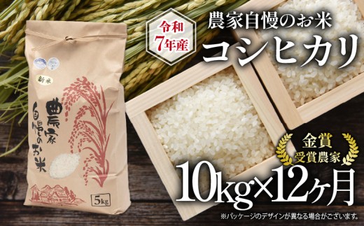 【 先行予約 】 令和7年産 新米 10kg 定期便 12回 コシヒカリ 農家自慢のお米 近江米 ( 2025年産 こしひかり 12ヶ月 連続 お届け 白米 精米 お米 おこめ ブランド米 産地直送 農家直送 送料無料 滋賀県 竜王 ふるさと納税 ) 
