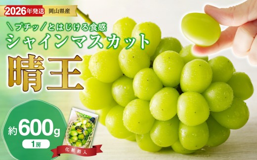 【2026年発送分 先行受付スタート！】岡山県産シャインマスカット「晴王」秀品　1房（約600g）（令和8年8月中旬～11月中旬頃発送）【 シャインマスカット 晴王 フルーツ 果物 くだもの 葡萄 ぶどう 岡山県産 秀品 種無し 高糖度 】hz-s