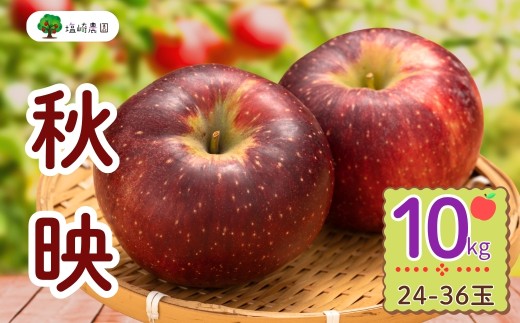 【先行予約】秋映（あきばえ）【約10kg(24〜36玉)】(7-A23-3) 2113429 - 長野県飯山市