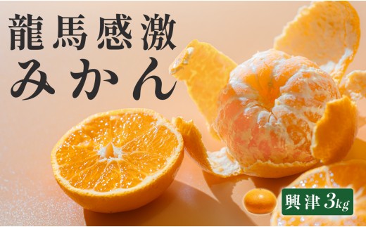 【高知県 大月町産】コーラルフルーツ農場 龍馬感激みかん(興津)　3kg 911815 - 高知県大月町