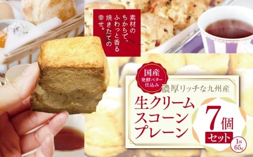 国産発酵バター仕込み濃厚リッチな九州産生クリームスコーン プレーン7個セット | お菓子 菓子 おかし 洋菓子 焼き菓子 イギリス菓子 プレーンスコーン おやつ デザート スイーツ 手作り ティータイム アフタヌーンティー 大分県 中津市