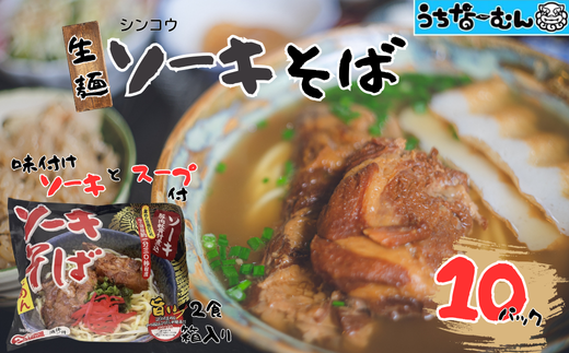 シンコウ ソーキそば 2食 袋入 10P 2241729 - 沖縄県中城村