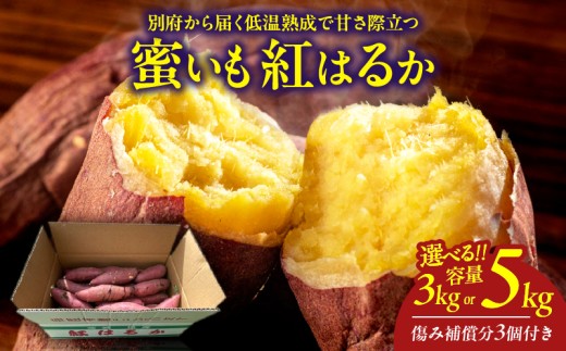 ≪選べる返礼品≫先行予約!! 別府産 蜜いも「紅はるか」