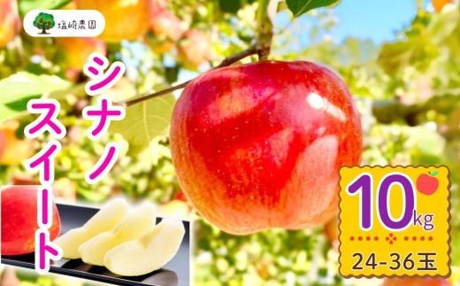 【先行予約】シナノスイート【約10kg(24〜36玉)】 (7-A24-3) 2113426 - 長野県飯山市