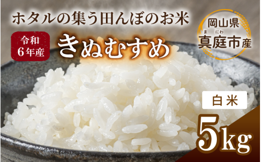 令和6年産 きぬむすめ 白米 5kg 岡山県真庭市産 / 国産 お米 ブランド米 312027 - 岡山県真庭市
