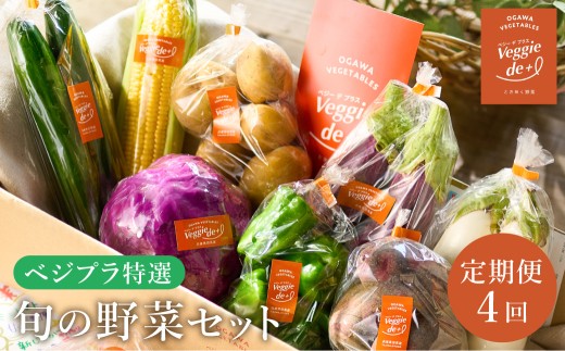 旬の新鮮なお野菜を産地直送!ベジプラ特選 旬の野菜セット[定期便:4回 春(5月)・夏(7月)・秋(11月)・冬(1月) ] / 野菜 詰め合わせ セット 野菜セット 新鮮 ギフト やさい 苦みが少ない 甘みが強い Veggie de+