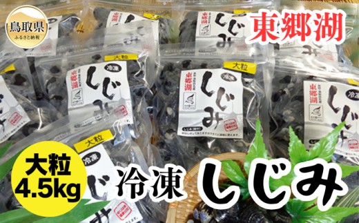 D24-008 東郷湖冷凍しじみ(大粒) 4.5kg 鳥取県 おすすめ 湯梨浜町 黒いダイヤ 581316 - 鳥取県鳥取県庁