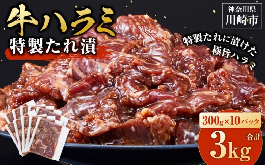 <訳あり>牛ハラミ 特製たれ漬 3.0kg【9月発送】 2227271 - 神奈川県川崎市