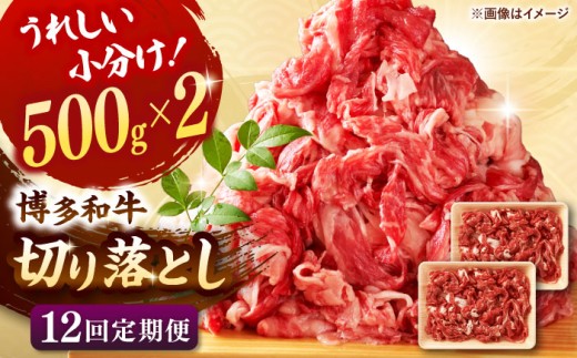 【全12回定期便】【たっぷり大容量！】博多和牛 切り落とし 1000g(500ｇ×2Ｐ） ▼ 牛肉 肉 にく 返礼品 美味しい お肉 家族 口コミ 食材 博多 本場 福岡 国産牛 特産品 大好評 冷凍 定期便 桂川町/株式会社 MEAT PLUS [ADAQ016]