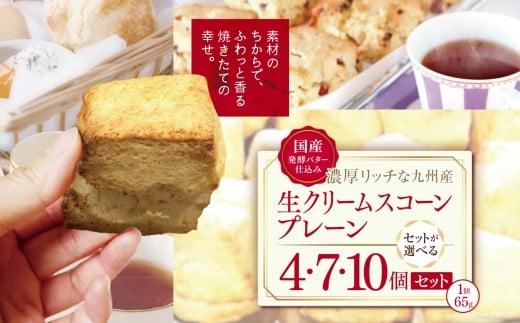 国産発酵バター仕込み濃厚リッチな九州産生クリームスコーン プレーン 選べる 内容量 4個 〜 10個 | お菓子 菓子 おかし 洋菓子 焼き菓子 イギリス菓子 プレーンスコーン おやつ デザート スイーツ 手作り ティータイム アフタヌーンティー 大分県 中津市