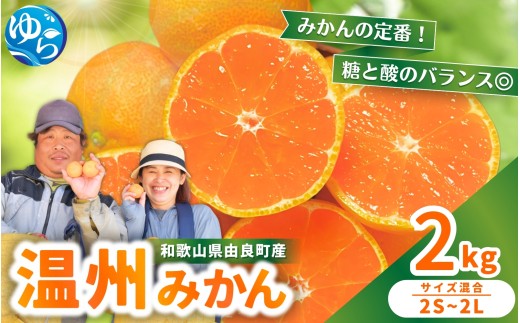 温州みかん 約2kg 2S〜2Lサイズ混合 ※2025年12月上旬〜順次発送 / 温州 ミカン 農家直送 完熟 密柑 くだもの 果実 柑橘 果物 フルーツ 和歌山県 由良町 人気 おすすめ 産地直送[nktn015-sp-12]