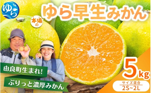 ゆら早生 みかん 5kg / 柑橘 和歌山県 由良町 極早生 早生 早生みかん 柑橘 甘い 完熟 密柑 人気 おすすめ くだもの 果物 フルーツ 農家直送 産地直送 混合 ※2025年10月中旬〜10月下旬順次発送 [nktn001-sp]