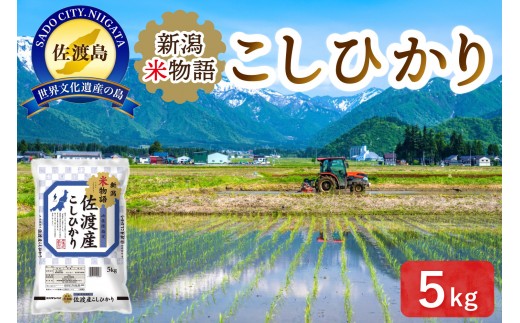 新潟米物語佐渡産コシヒカリ（5kg） 830737 - 新潟県佐渡市