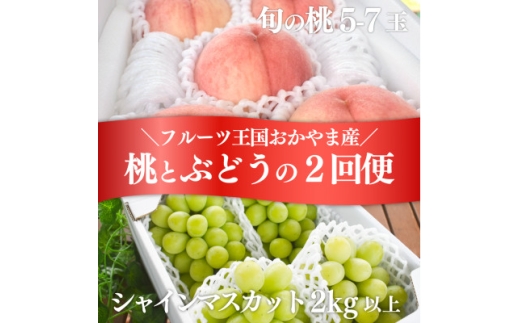 [発送月固定定期便]人気果物2種類が届く 桃とシャインの満足便!(岡山県産)全2回