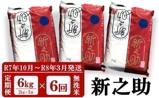 【R7年10月～R8年3月発送・6回定期便】新之助 無洗米 6kg（2kg×3袋）×6回（計36kg）令和7年産新米 田村農産 しんのすけ[Y0093]