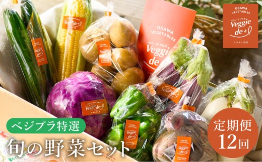 旬の新鮮なお野菜を産地直送!ベジプラ特選 旬の野菜セット[定期便:12回 毎月お届け] / 野菜 詰め合わせ セット 野菜セット 新鮮 ギフト やさい 苦みが少ない 甘みが強い Veggie de+