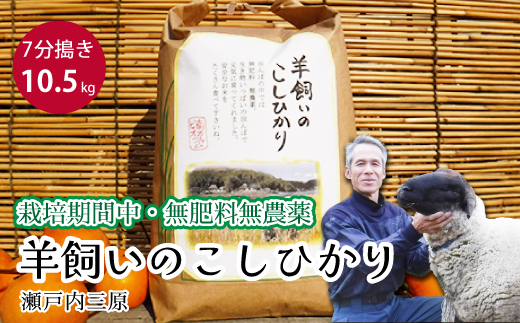 【栽培期間中・無肥料無農薬】瀬戸内三原 羊飼いのこしひかり 7分搗き 10.5kg 2025年9月上旬発送予定 瀬戸内ビオファーム お米 こめ ご飯 002012