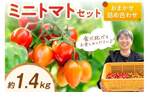ミニトマトセット（おまかせ詰め合わせ）約1.4kg《先行予約》