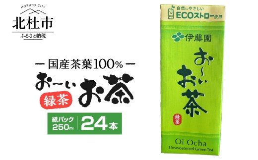 おーいお茶　250ml　24本　伊藤園　紙パック