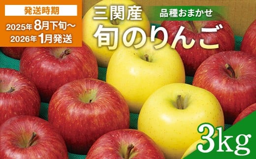 三関旬のりんご 秀品 3kg （8玉～12