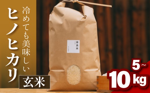 お米イメージ