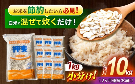 麦 押麦 はだか麦 麦味噌 麦ごはん 雑穀 雑穀米 食物繊維 10キロ 長崎県産 米 こめ コメ ※