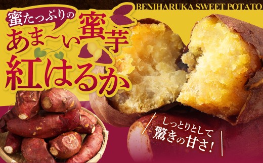 鹿児島県産紅はるか冷凍焼き芋 ×3袋