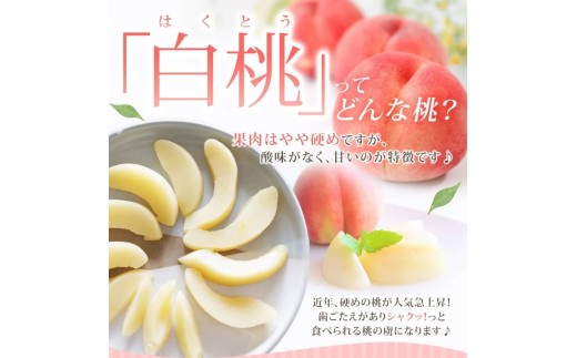 果肉はやや硬め、果汁は少なめですが酸味がなく甘いのが特徴です