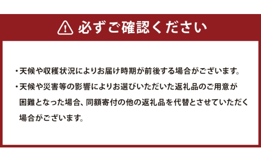 【3ヶ月定期便】【令和7年産】〈白米〉 雪若丸 10kg×3回
