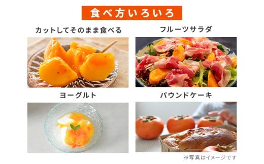 茨城県石岡市のふるさと納税 【 2025年 先行予約 】 富有柿 2L 28玉 (14玉×2段箱) 坂川果樹園 柿 甘い柿 かき 富有カキ 甘い 果物 フルーツ くだもの カキ 富有かき 秋 旬 甘柿 糖度 贈答用 贈答品 ギフト 贈り物 品種 ブランド 11月 12月 発送 産地直送 農家直送 産直 茨城県 石岡市 (A20-002)