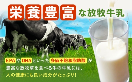 アイス アイスクリーム ラクトアイス 牛乳 生乳 朝搾り 北海道