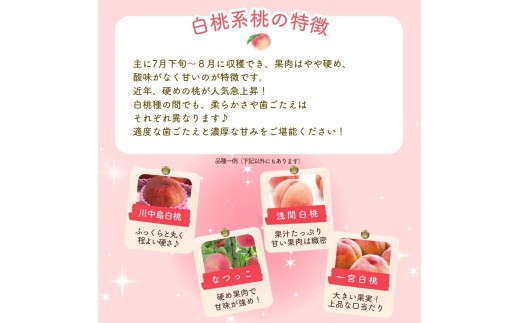 数多の桃を食べた桃の国・山梨県民スタッフが自信を持っておすすめします！ 富士の見えるくだもの畑から、朝もぎ直送いたします。
