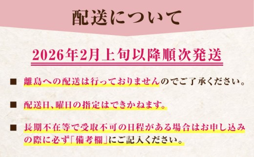 ベリーツ イチゴ 甘い 苺 フルーツ デザート 国産いちご ブランド いちご おすすめフルーツ ストロベリー 旬の果物
