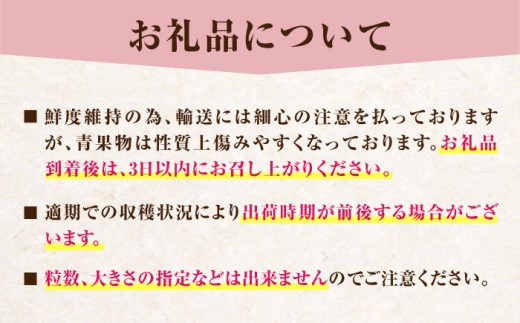 ベリーツ イチゴ 甘い 苺 フルーツ デザート 国産いちご ブランド いちご おすすめフルーツ ストロベリー 旬の果物