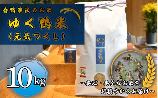 CB-003_合鴨農法のお米「ゆく鴨米」（元気つくし）10ｋｇ～安心･安全なお米を行橋市からお届け 2246159 - 福岡県行橋市