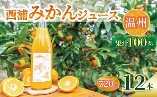 オレンジ ジュース ストレート 果汁 100％ 温州 みかん 720ml×12本 西浦 蜜柑 濃厚 飲み物 ミカン 人気 贈答用 静岡 沼津