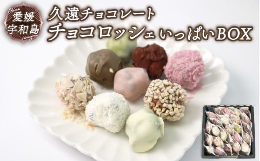 チョコロッシェいっぱいＢＯＸ 久遠チョコレート ロッシェ 25個 おまかせ ちょこ ちょこれーと チョコ チョコレート 洋菓子 菓子 焼き菓子 おやつ ギフト プレゼント 愛媛 宇和島 J010-167007 2263228 - 愛媛県宇和島市