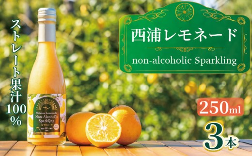 西浦 レモネード スパークリング ジュース ストレート 果汁 100％ 250ml×3本 希少 柑橘 飲み物 かんきつ 人気 贈答用 静岡 沼津