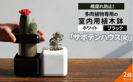 【2個セット ブラック・ホワイト】根腐れ防止！多肉植物専用の室内用植木鉢「サボテンハウス(R)」　かわいいキューブ型植木鉢　日用品　贈答品　プレゼント　ギフト _GD03
