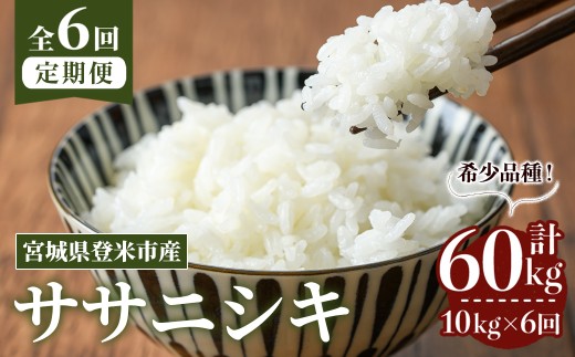＜先行予約！2025年10月から発送開始予定＞≪令和7年産≫【6回定期便】ササニシキ 計60kg (10kg×6回配送) 登米市産 お米 おこめ 米 コメ 白米 ご飯 ごはん おにぎり お弁当 6か月 頒布会【登米ライスサービス株式会社】tm461 2086513 - 宮城県登米市