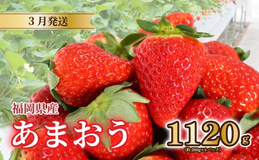 【2026年3月発送】 苺 あまおう 1120g (280g×4) いちご あまおう 福岡県産苺 いちご あまおう イチゴ 苺 あまおう 苺 数量限定 苺 いちご あまおう 福岡県産 苺 いちご あまおう【3月上旬より順次出荷】 