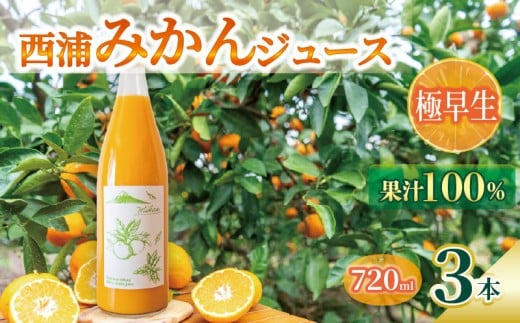 オレンジ ジュース ストレート 果汁 100％ 極早生 みかん 720ml×3本 西浦 蜜柑 濃厚 飲み物 ミカン 人気 贈答用 静岡 沼津 2238570 - 静岡県沼津市
