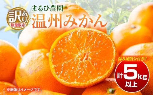 訳あり 温州 みかん 計5kg以上 傷み補償分付き まるひ農園 期間限定 数量限定 フルーツ 果物 くだもの 柑橘 ミカン 国産 食品 デザート おやつ 人気 スイーツ おすすめ ご家庭用 訳アリ ワケあり おすそ分け 新鮮 産地直送 宮崎県 日南市 送料無料_ZZV2-25 1242343 - 宮崎県日南市